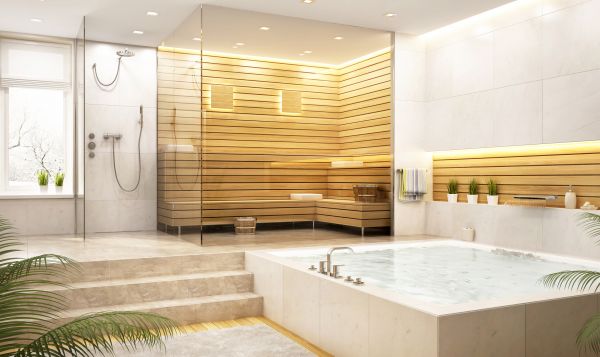 Steam Shower Assembly
